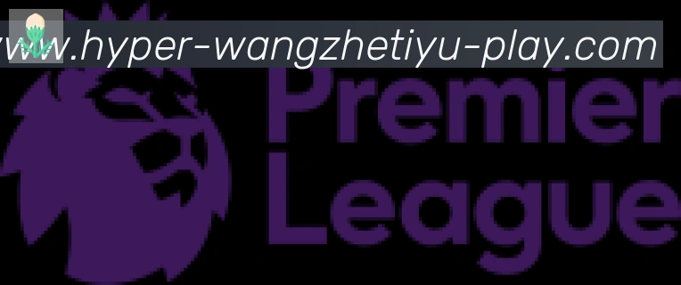 王者体育直播合作伙伴